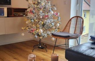 Apartments bei Playmobil 1,130m2,24h Self Check-in, free Parking - Foto 37