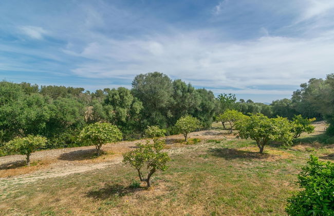 Son Barrigo in Porreres - Foto 33