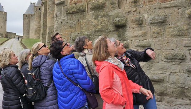 Tour per piccoli gruppi della Cité de Carcassonne - Foto 2