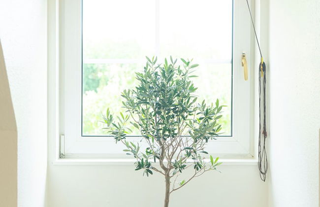 Falsterbo Beachside Apartments - Foto 37