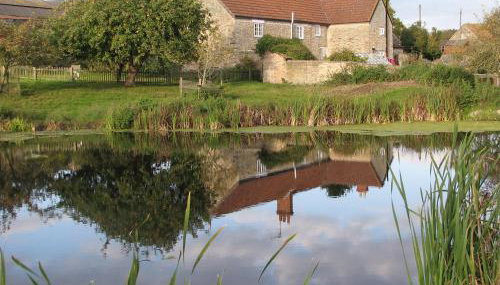 Old Orchard Cottage - Photo 3