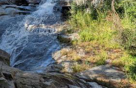 Peaceful Pines Place, a cozy mountain hideaway wAC - Foto 45