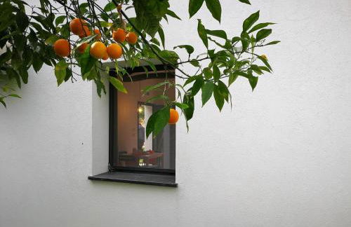 Charming Villa in Maida With Pool & Garden - Photo 94