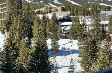 NEW! Marriott Slope View Ski in Ski out Luxury Studio Sleeps 4 Full kitchen, Amenities & Fee Parking - Foto 12