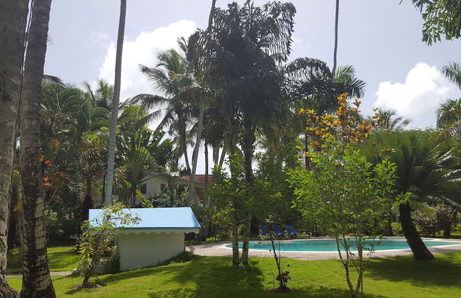 Oasis Hotel Las Terrenas - Foto 33