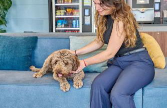 Apartamentos Hesperia Sant Joan - Foto 79