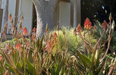 La roche aux mouettes Ile du Levant - Foto 62