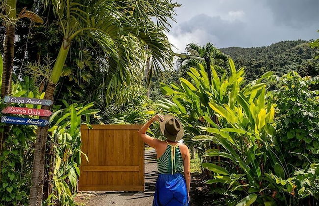 Casa Parcha - Photo 20