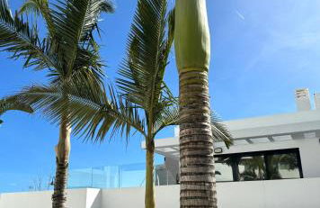 La Cala de Mijas - Dream Gardens - Photo 11