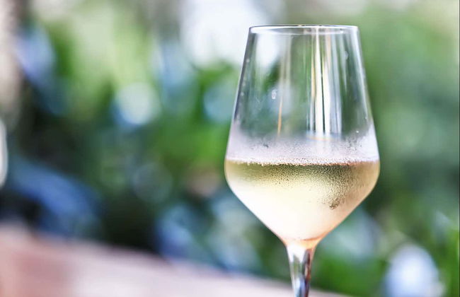 Excursión a las bodegas de Murrumbateman - Foto 5