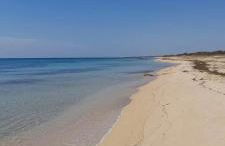 Casetta MaCa fronte mare - Foto 71