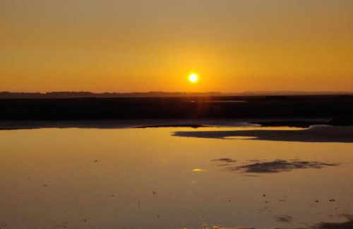 Pilets de la baie d'Authie - Foto 15