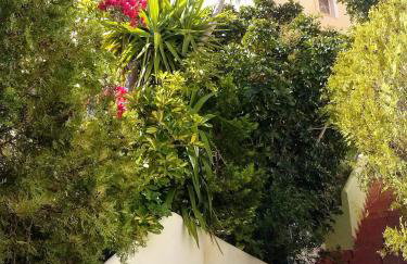 Τάνια - Foto 46