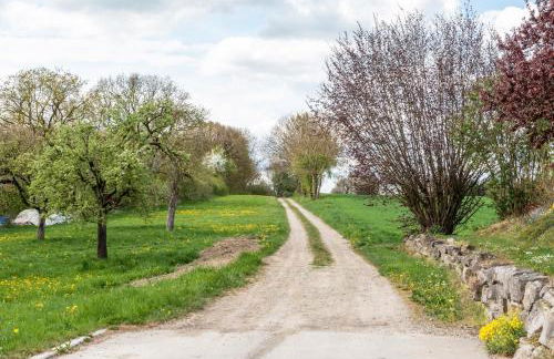 Arnold Laubbach - Foto 42