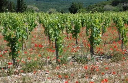 Apartment Die kleine Zikade by Interhome - Foto 25