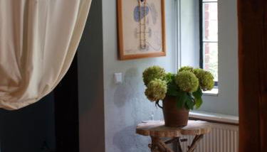 Natur erleben und Ruhe genießen - Foto 4