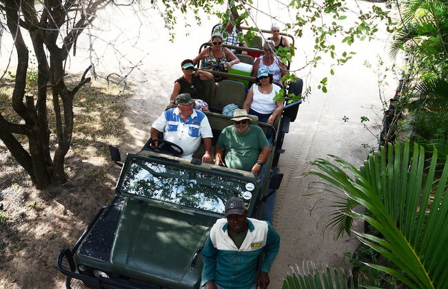 Pezulu Tree House Lodge - Foto 59