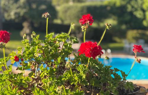 Green paradise with Etna view - Foto 52