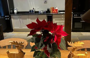 Luxury Farmhouse Retreat with Private Hot Tub & EV - Foto 26