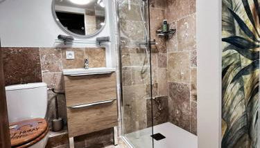 Studio Duplex le Jungle - Bourgoin Centre - Foto 1, Shower