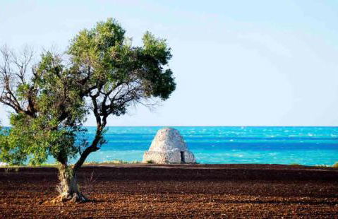 Meraviglioso - Foto 22