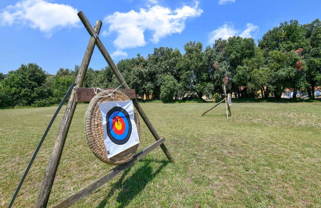 Gite in a Holiday Park With Swimming Pool - Foto 33