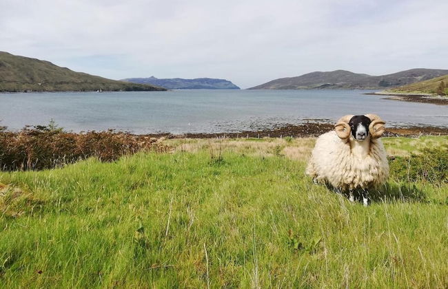 Luib House - Foto 39