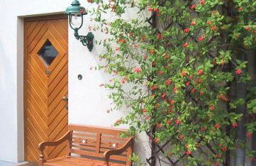 Ferien in Himmelpfort - Foto 11