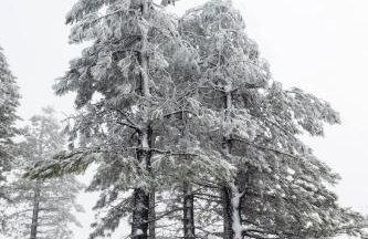 Casa do Forno FR - Foto 80