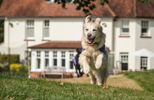 Park House Hotel - Foto 6