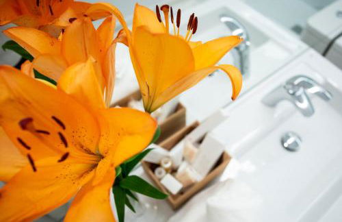 Plazuela del Carbón Suites - Foto 85