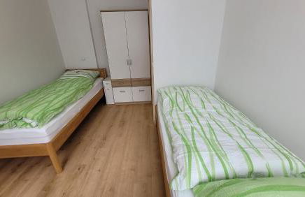 Sachsentraum - Nähe Göltzschtalbrücke - Foto 6