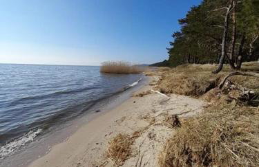 Apartamenty Pod Debem (Ferienwohnungen an der uralten Eiche) - Foto 24