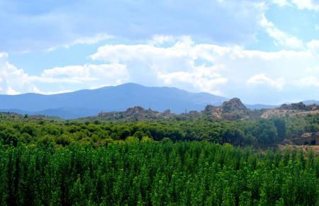 Cueva El Cortijo Gachas - Photo 84