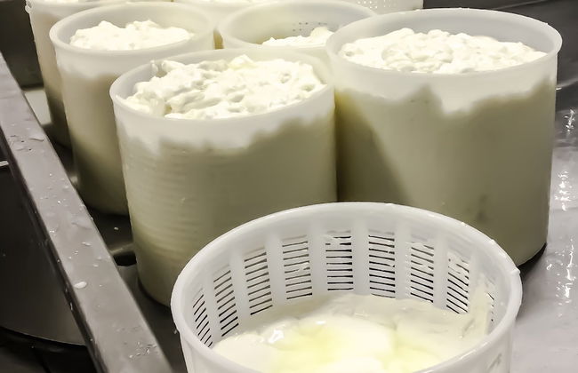 Agriturismo Chevres a Cheval - Foto 74