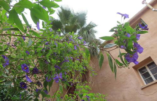 Grande maison Art Nouveau entre mer & garrigue, charme et loisirs au cœur du Sud - Foto 2