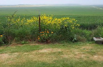 Shirls chalet in Sheppey, Leysdown - Foto 35