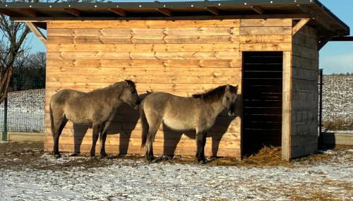 Chata Smarzewo - Foto 4