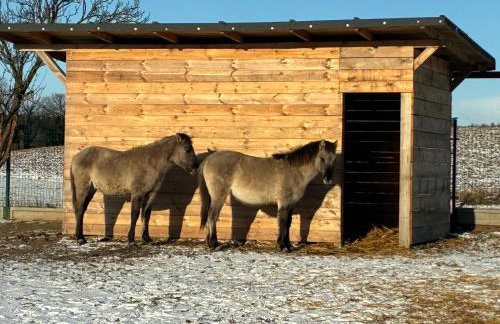 Chata Smarzewo - Foto 4