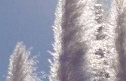 Charmant appartement en Rez de jardin - Foto 22