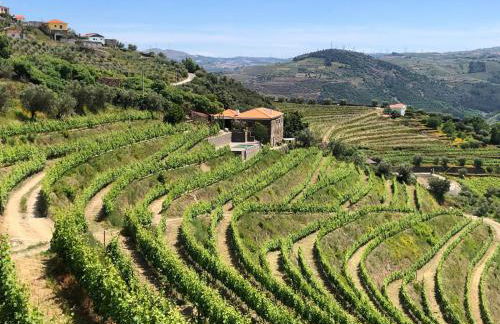 Quinta do Barrocal - Casa de Campo - Foto 2