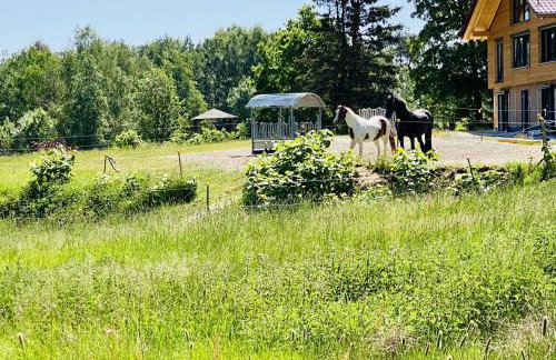 Ferienwohnung Abendsonne - Foto 7