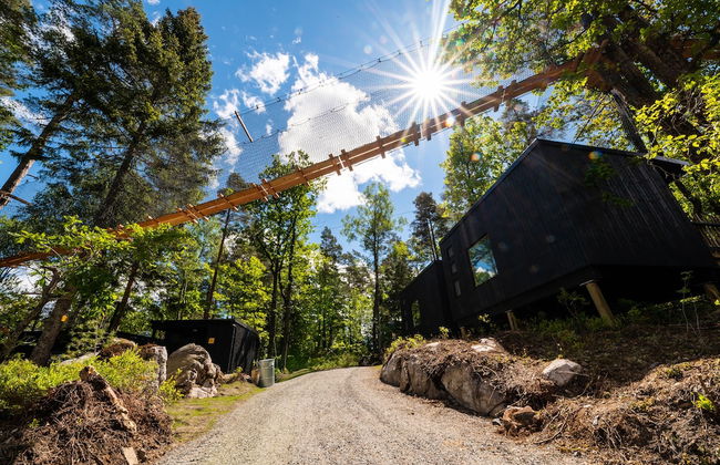 Juliusskogen - Foto 14