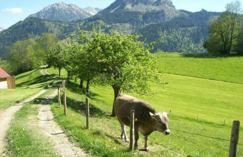 Ferienwohnungen Kappeler - Foto 19
