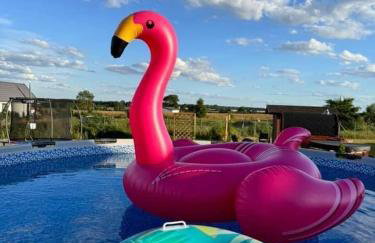 Słoneczny Horyzont - Foto 24