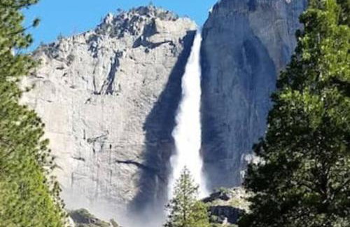 Loyah Cabin - Foto 16