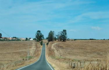Canto da Planície - Foto 70