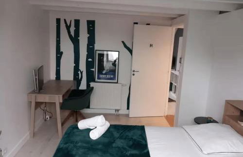 Grande maison familiale 8p, 14 max, pas de fête - Foto 30