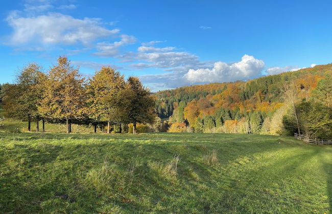 Modern Apartment in the Cotswolds Sleeps 6 - Foto 23