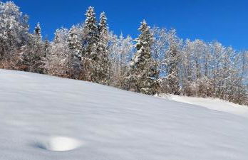 Traumplatz im Allgäu - Foto 38